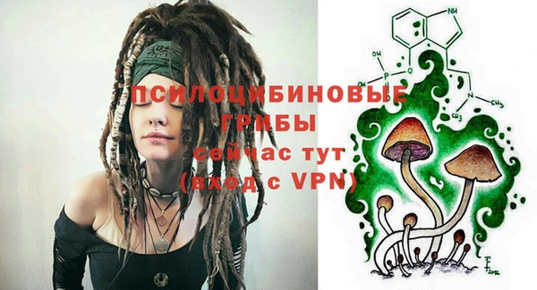 ALPHA PVP Алексин