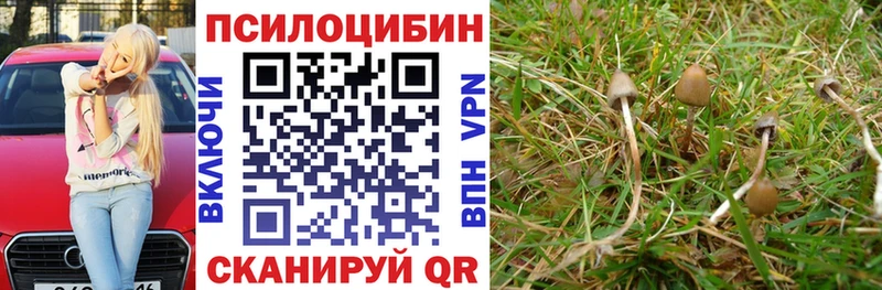 Псилоцибиновые грибы мицелий  дарнет шоп  Лагань 